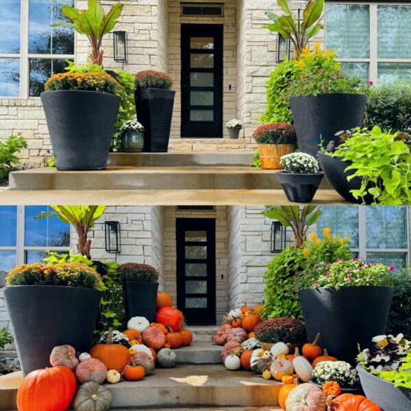 Pumpkins Paradise Package 1