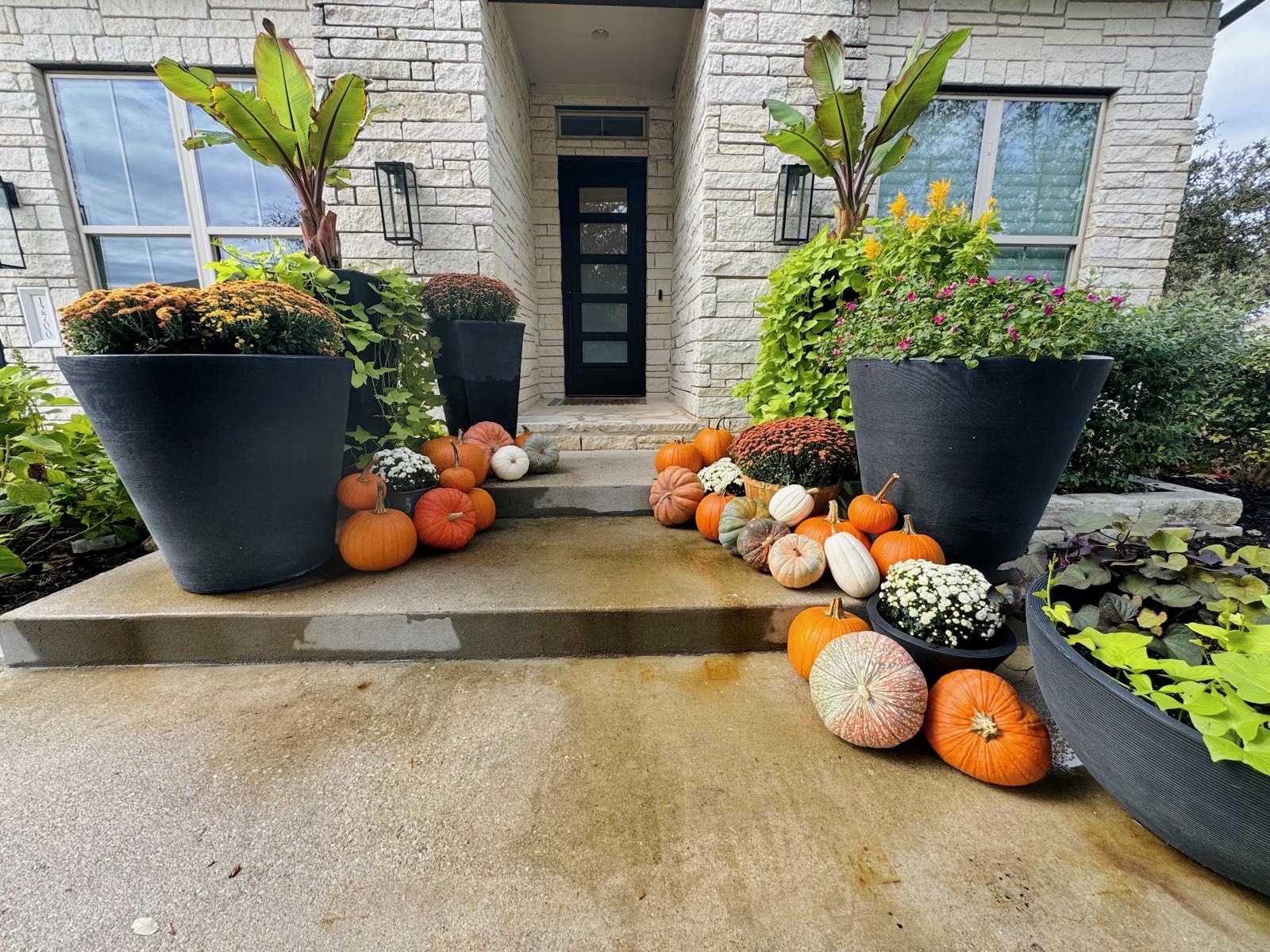 Pumpkun-4