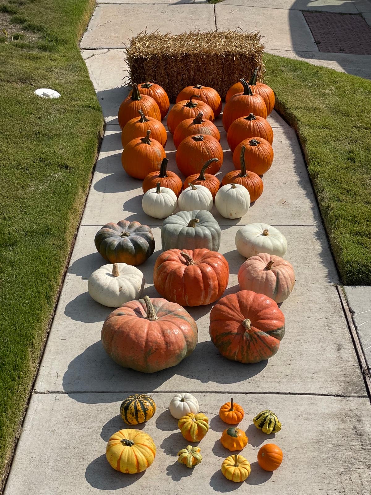 creative pumpkin display ideas for your front porch