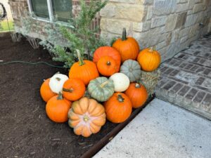 How Long Will Pumpkins Last on a Porch?