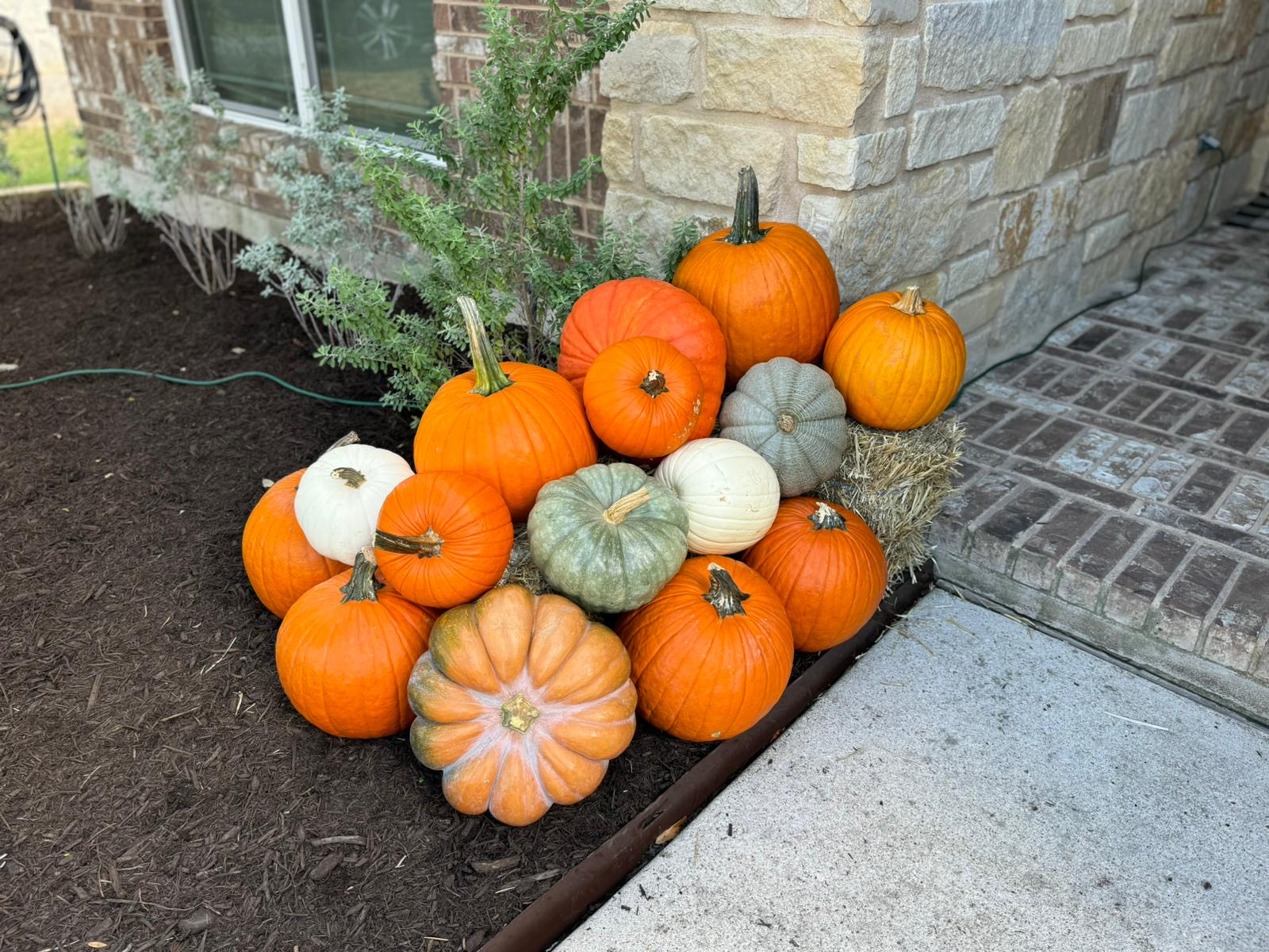 How Long Will Pumpkins Last on a Porch?