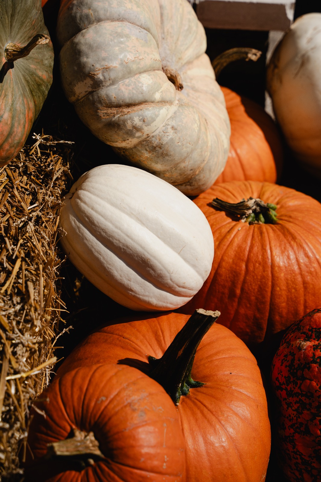 front porch pumpkin decor Austin